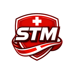 SwissTeamModding Logo